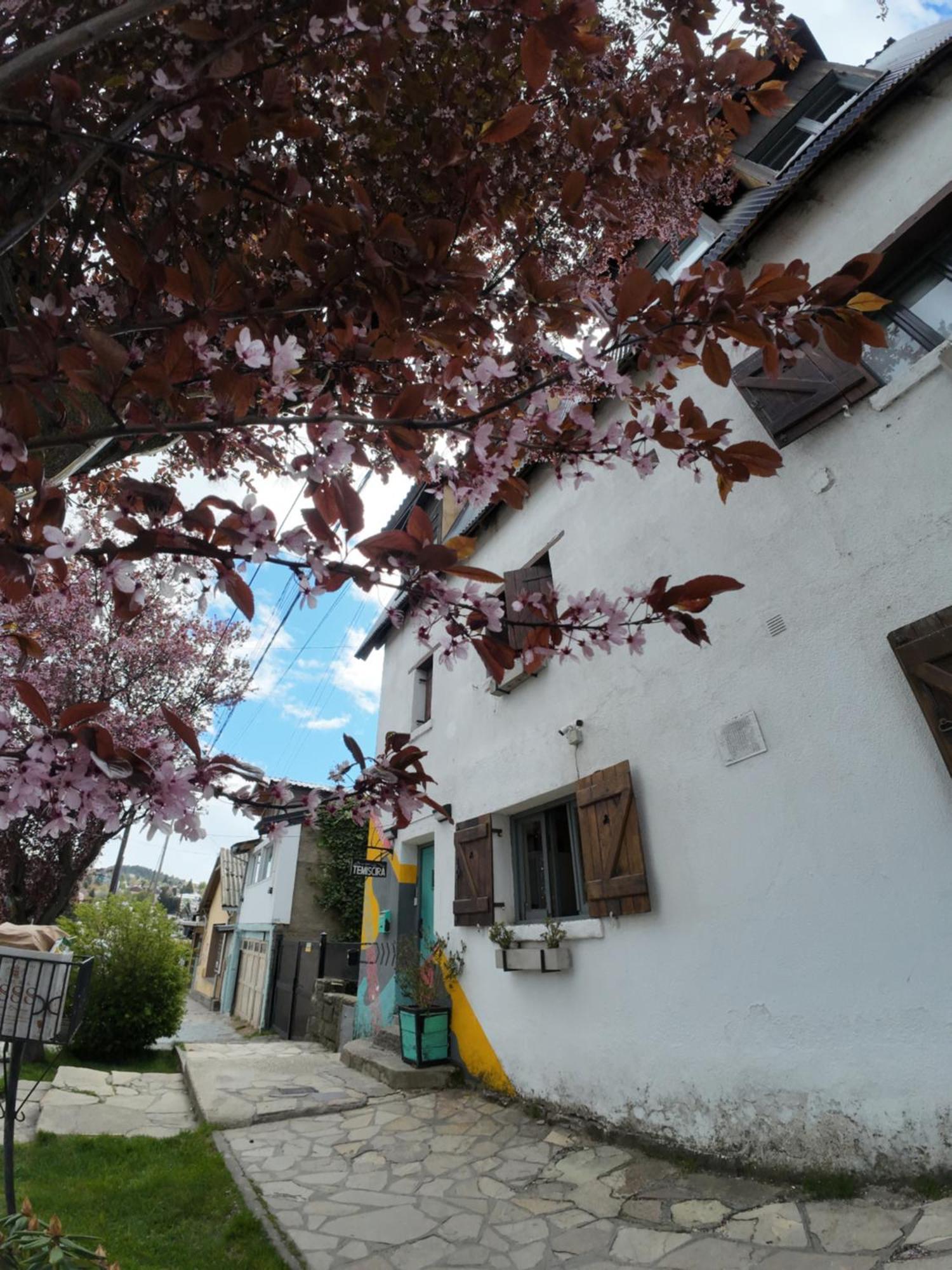 Temiscira Hostel Сан-Карлос-де-Барілоче Екстер'єр фото